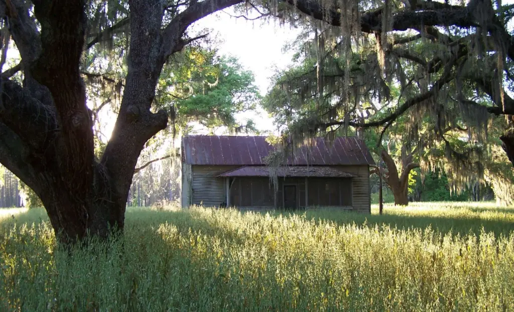 A historic farm building under live oaks on a conservation property.