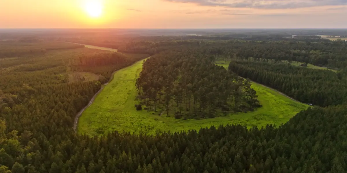 Tye Branch Plantation — Hampton & Jasper Counties, South Carolina
