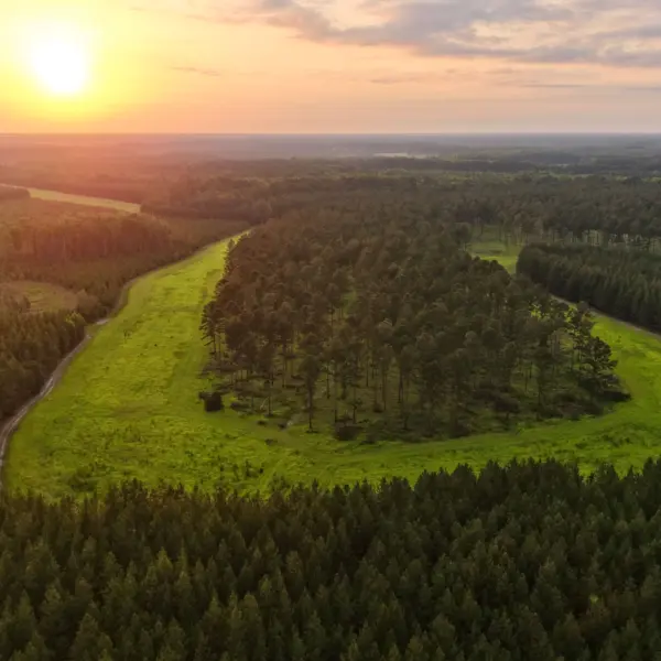 Tye Branch Plantation — Hampton & Jasper Counties, South Carolina