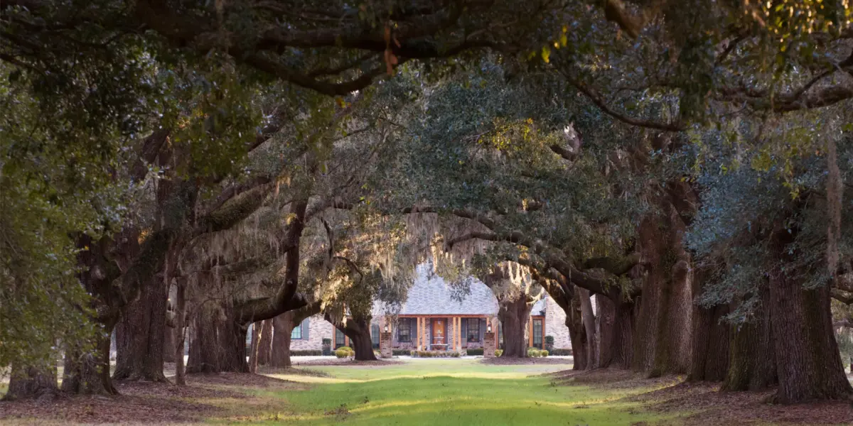 Bailey Mill Plantation I — Jasper County, South Carolina