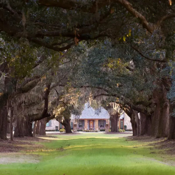 Bailey Mill Plantation I — 1,848± acres in Jasper County, South Carolina
