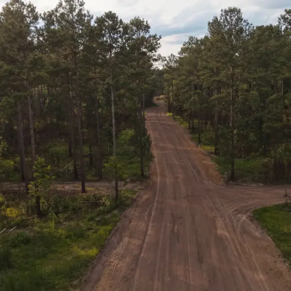 Tye Branch Plantation — photo 3