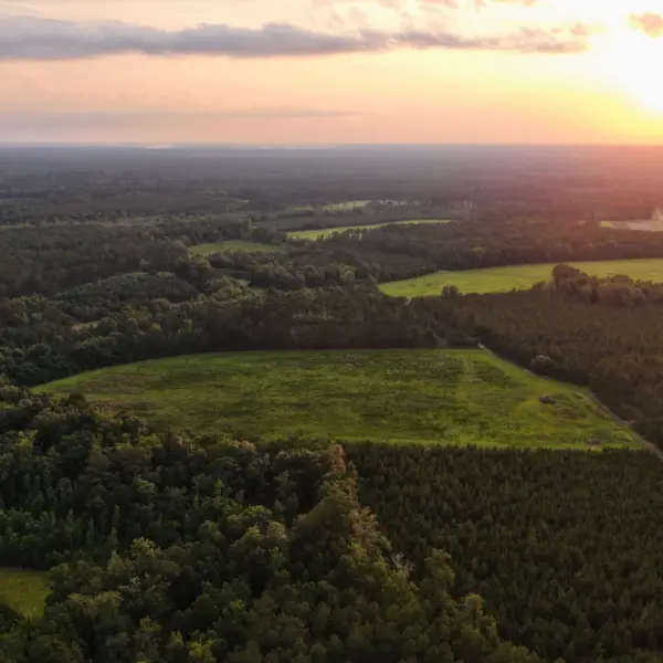 Tye Branch Plantation — photo 5