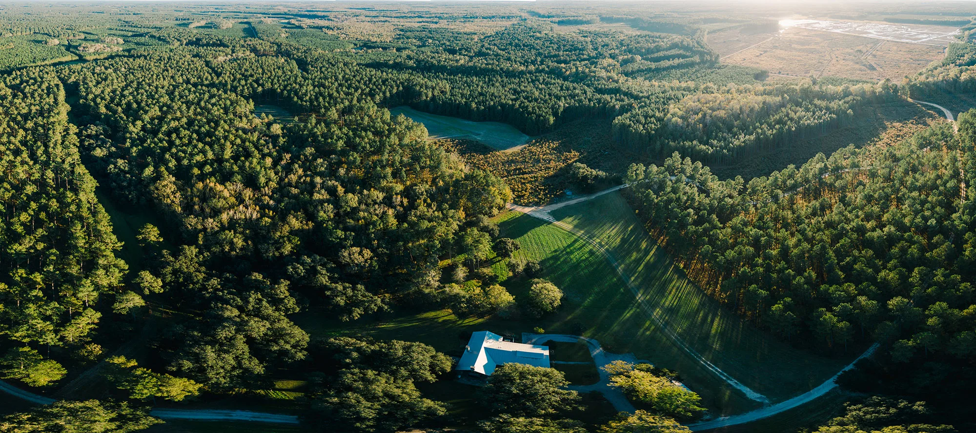 Drone aerial of Wise Batten managed timberland and pasture at golden hour, with the home place set among the pines — the land we know best.