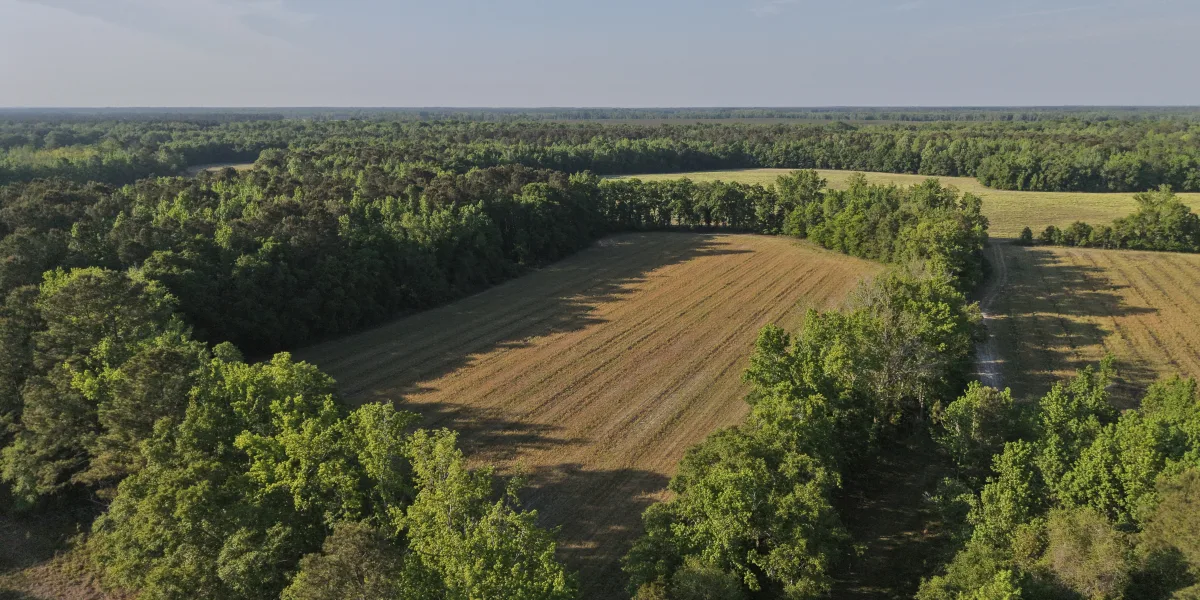 Caw Caw Farm — Hampton, South Carolina