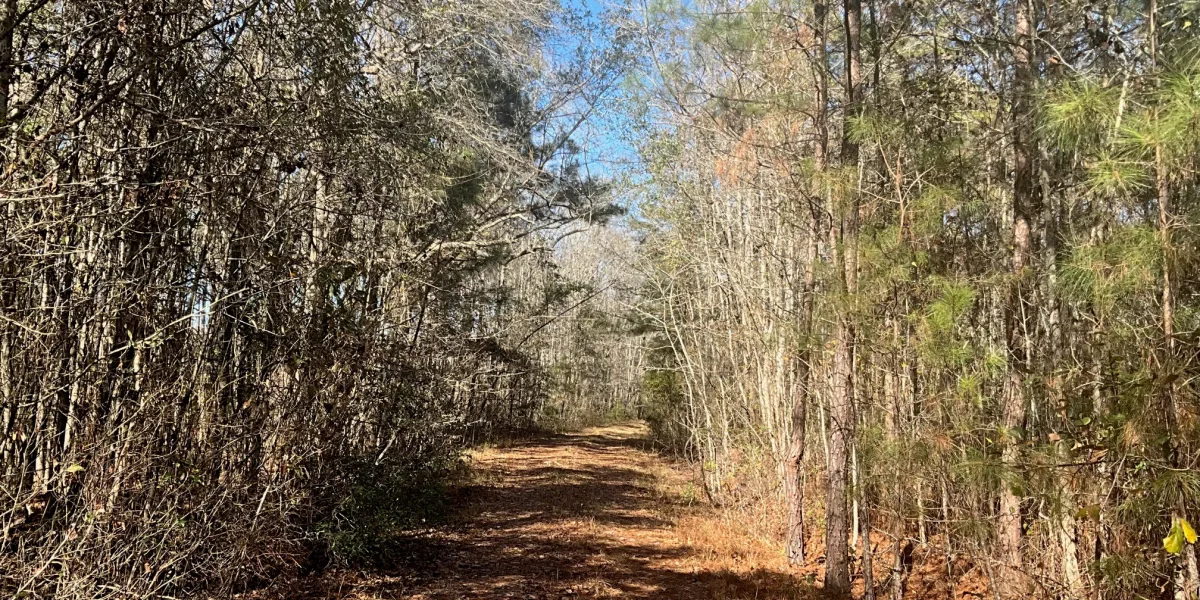 Hayes Tract — Hampton, South Carolina