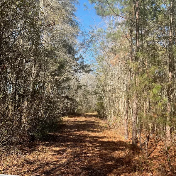 Hayes Tract — Hampton, South Carolina