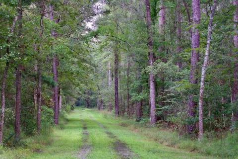 Ashley River Farms — Dorchester, South Carolina