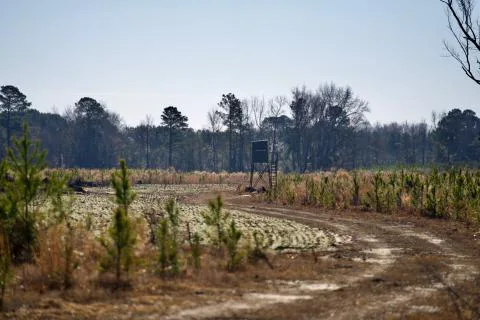 Independence Farm — Florence, South Carolina