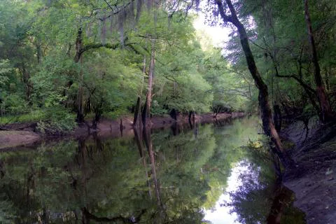 Pringle Tract — Dorchester, South Carolina