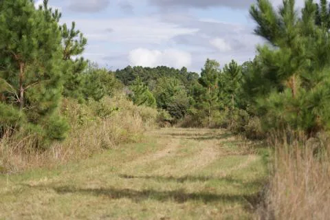 Heyward Tract — Bryan & Bulloch Counties, Georgia