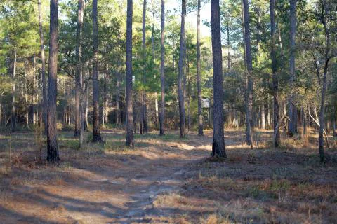Cypress Creek Plantation — Georgetown, South Carolina