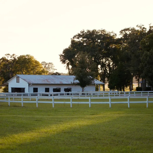 Come Away Plantation — photo 5