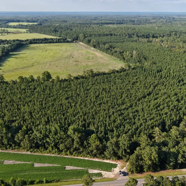 Bates Tree Farm — Barnwell, South Carolina