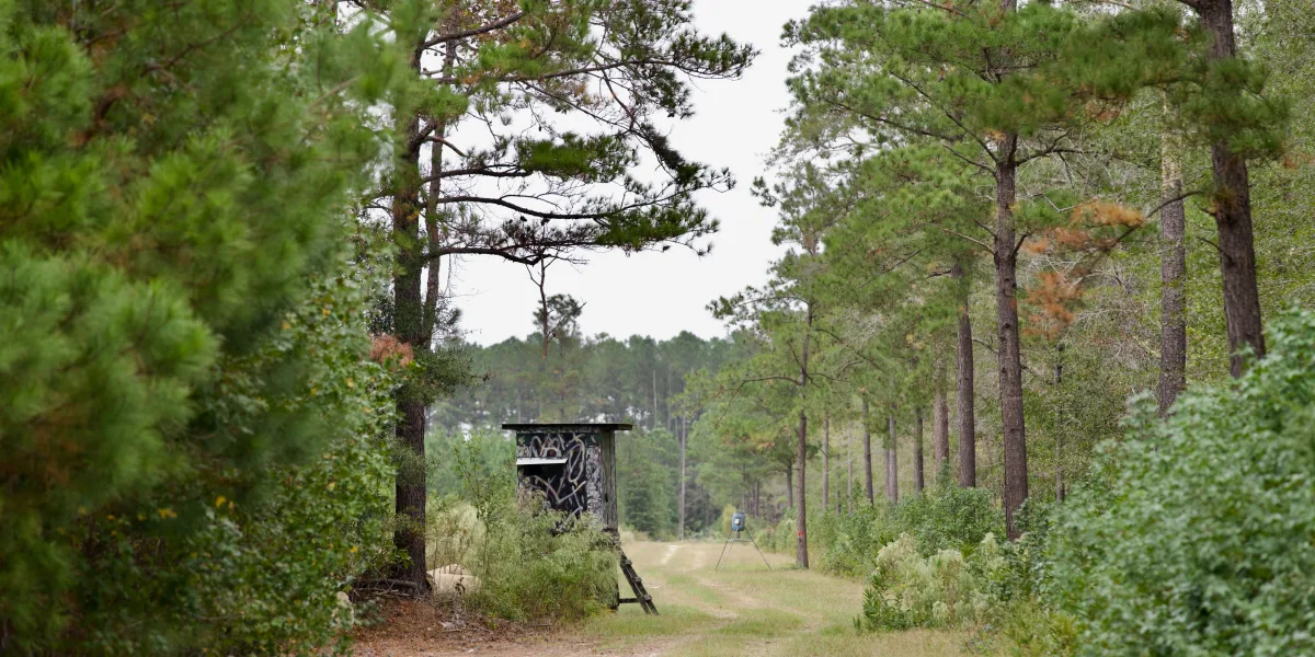Greeley Plantation — Clarendon, South Carolina