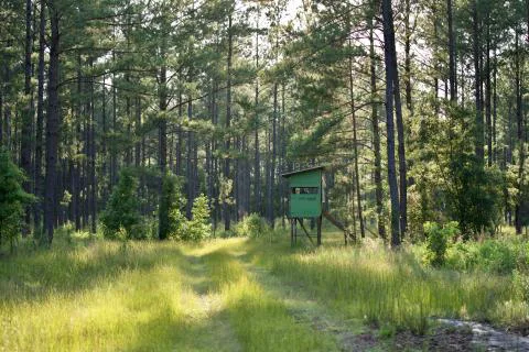 Rice Patch Farm — Colleton, South Carolina