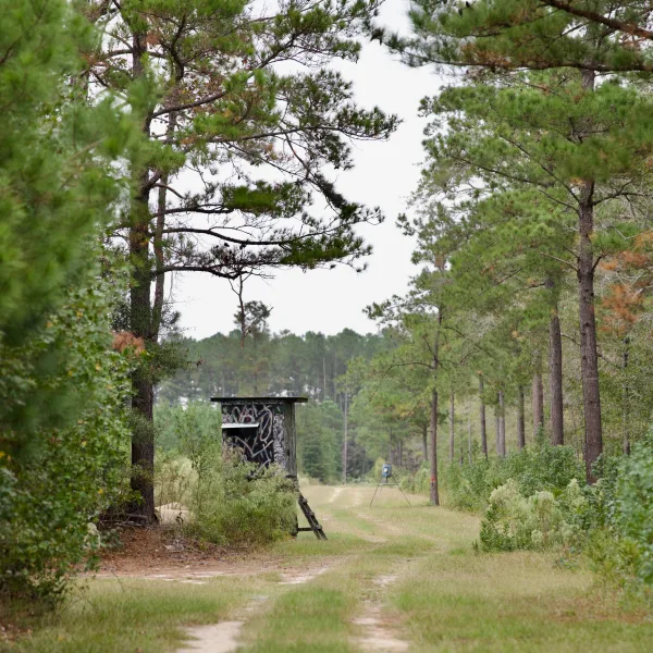Greeley Plantation — Clarendon, South Carolina