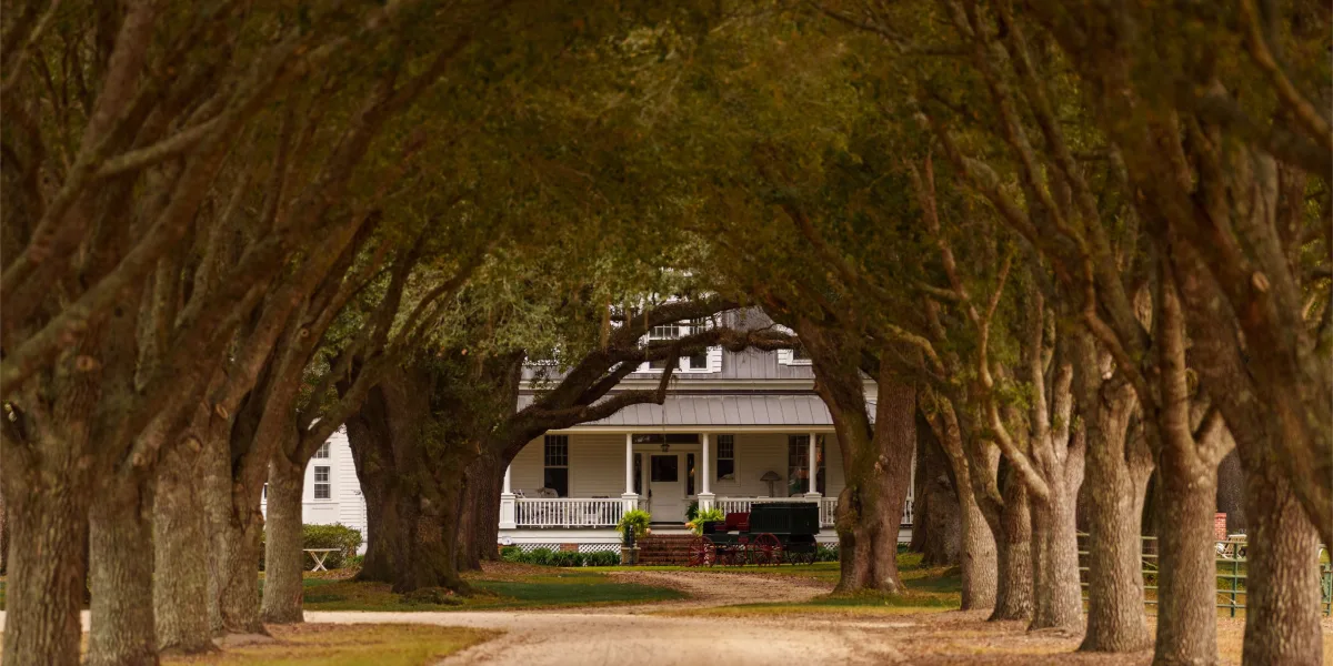 Woodside Plantation — Hampton, South Carolina