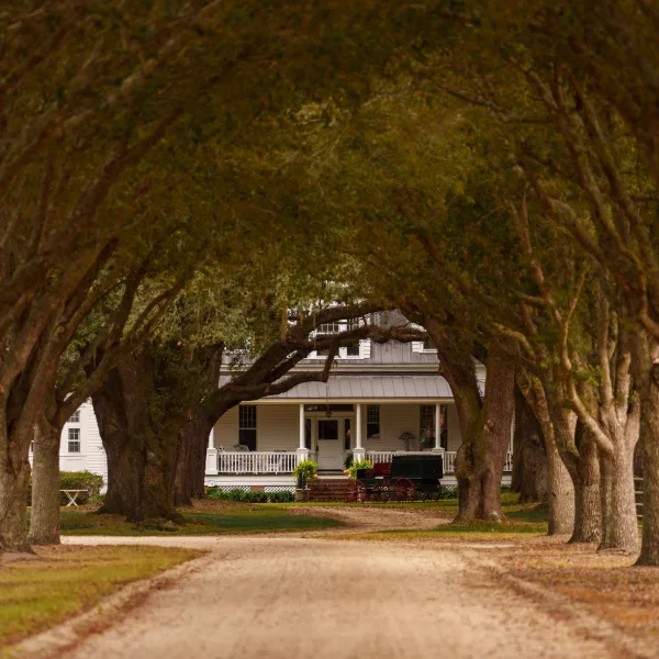 Woodside Plantation — Hampton, South Carolina