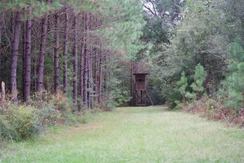 Seaboard Plantation — Williamsburg, South Carolina
