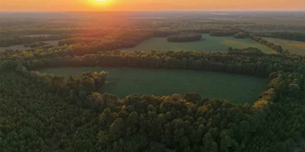 Crocketville Farms — Hampton, South Carolina