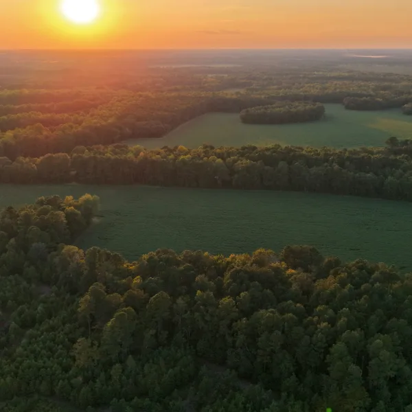 Crocketville Farms — Hampton, South Carolina