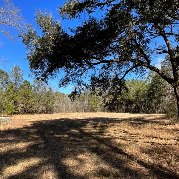 Hayes Tract — photo 2