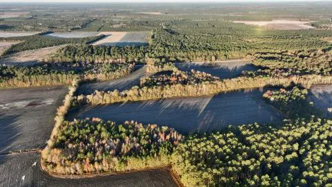 Billy Johnson Tract — Hampton, South Carolina