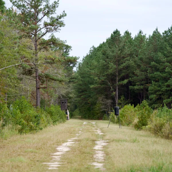 Greeley Plantation — photo 2