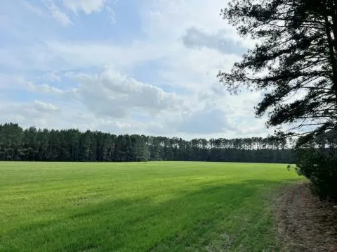 Blackburn Tract — Hampton, South Carolina