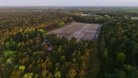 Cattle Creek Farms — Orangeburg, South Carolina