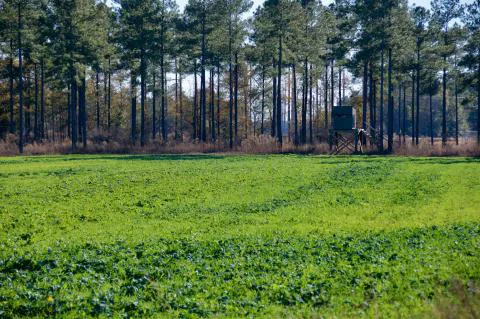 Slater Tract — Jasper, South Carolina