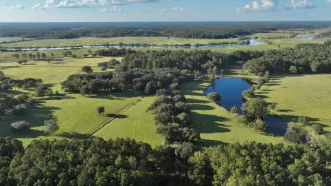 Longwood Plantation — Berkeley, South Carolina