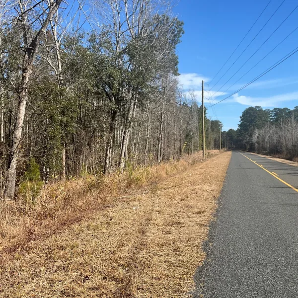 Hayes Tract — photo 4