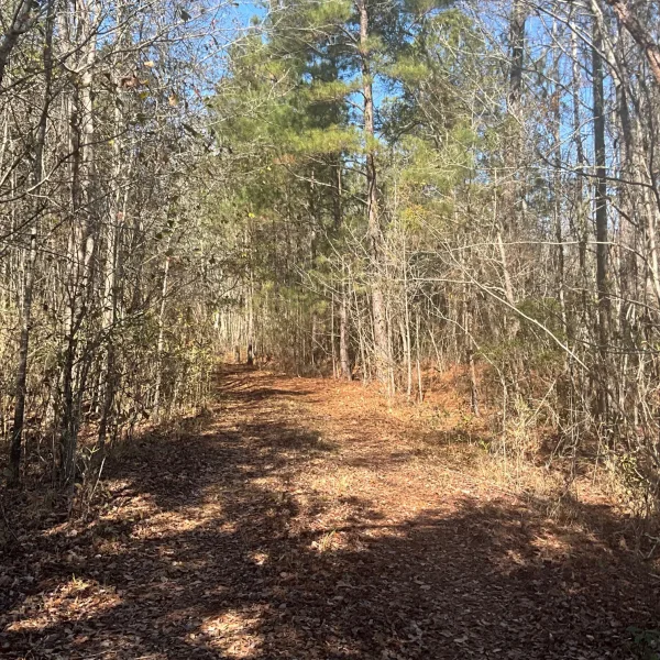 Hayes Tract — photo 5