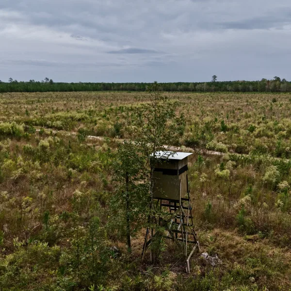 Greeley Plantation — photo 4