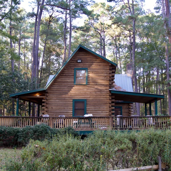 Turkey Creek — photo 3