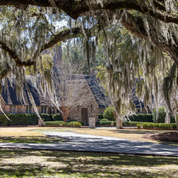 Richmond Plantation — photo 2