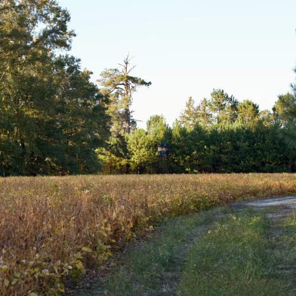 Hobcaw Indiantown — photo 2