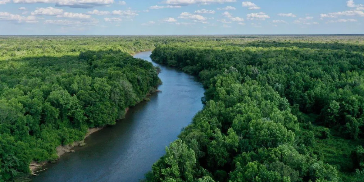 Santee River Tract — Berkeley, South Carolina