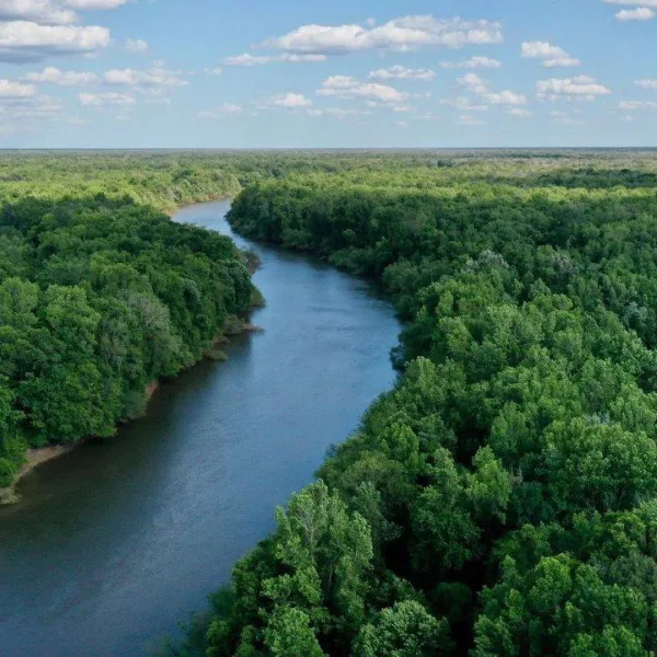 Santee River Tract — Berkeley, South Carolina