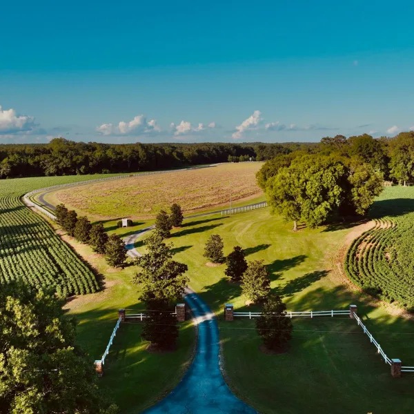 Come Away Plantation — photo 3