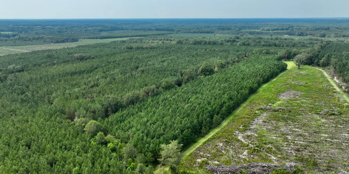 Buck Road Farm — Barnwell, South Carolina