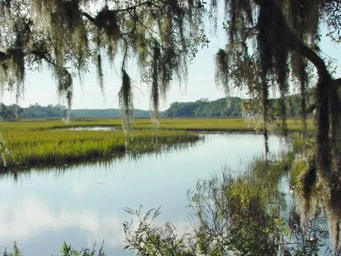 Bindon Plantation — Beaufort, South Carolina