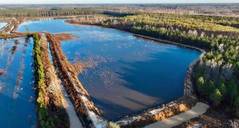 Blackwater Auxiliary Duck Pond — Summerton, South Carolina