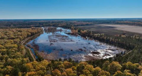 Clarendon Club Impoundment — Clarendon, South Carolina
