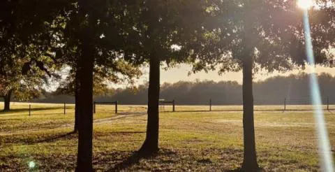 Curview Farms — Jefferson, Georgia