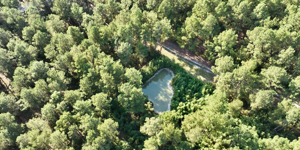 Sandy Run Farm — Hampton, South Carolina