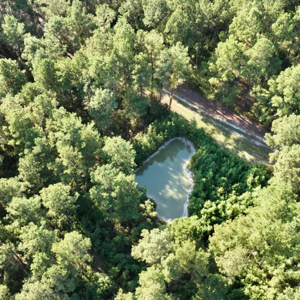 Sandy Run Farm — Hampton, South Carolina