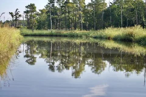 Turkey Creek Resort — Georgetown, South Carolina